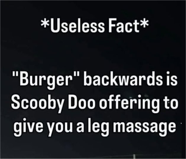 useless fact  majorgeeks.jpg